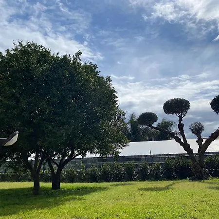 Oasis Pompei