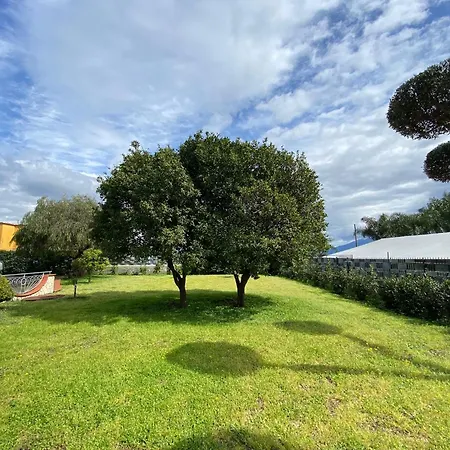 Oasis Pompei